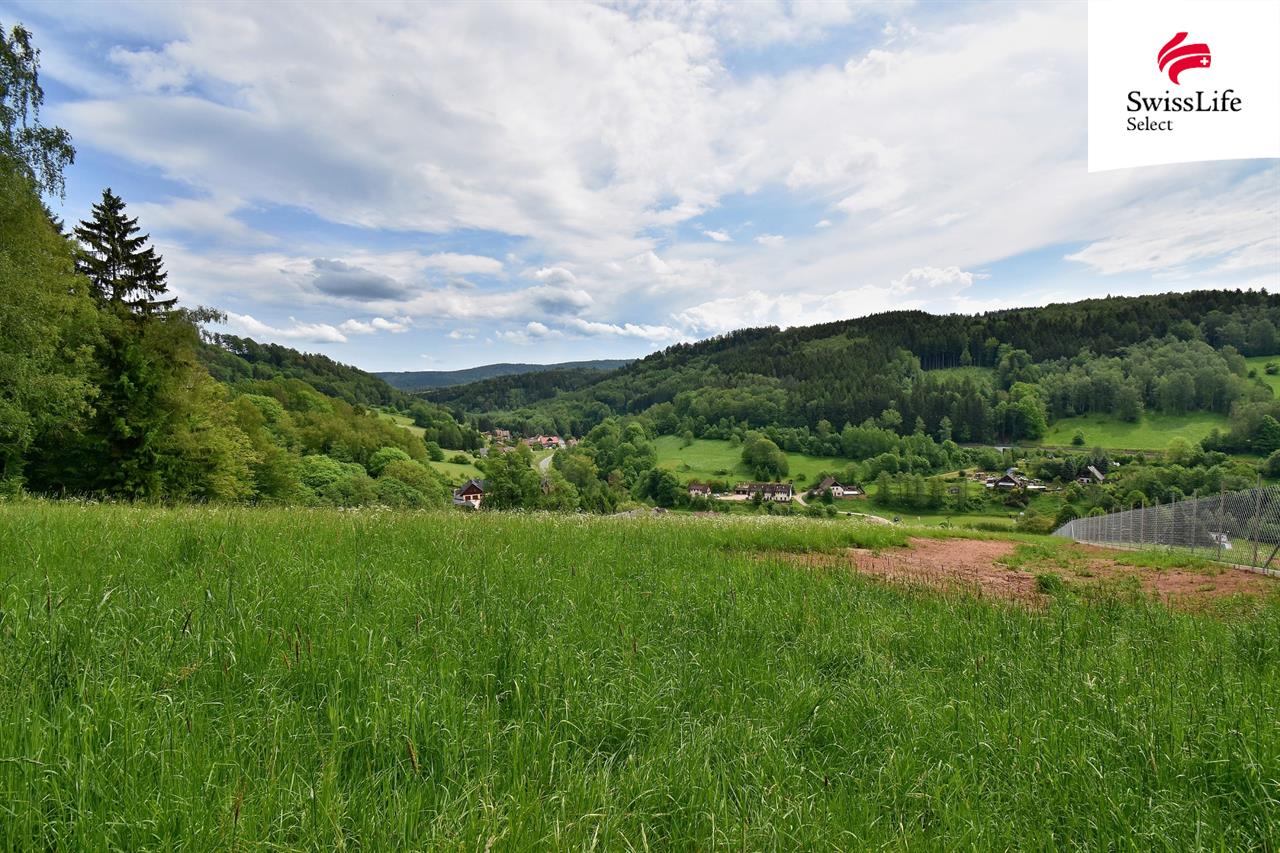 Prodej zemědělské usedlosti 600 m2, Chvaleč