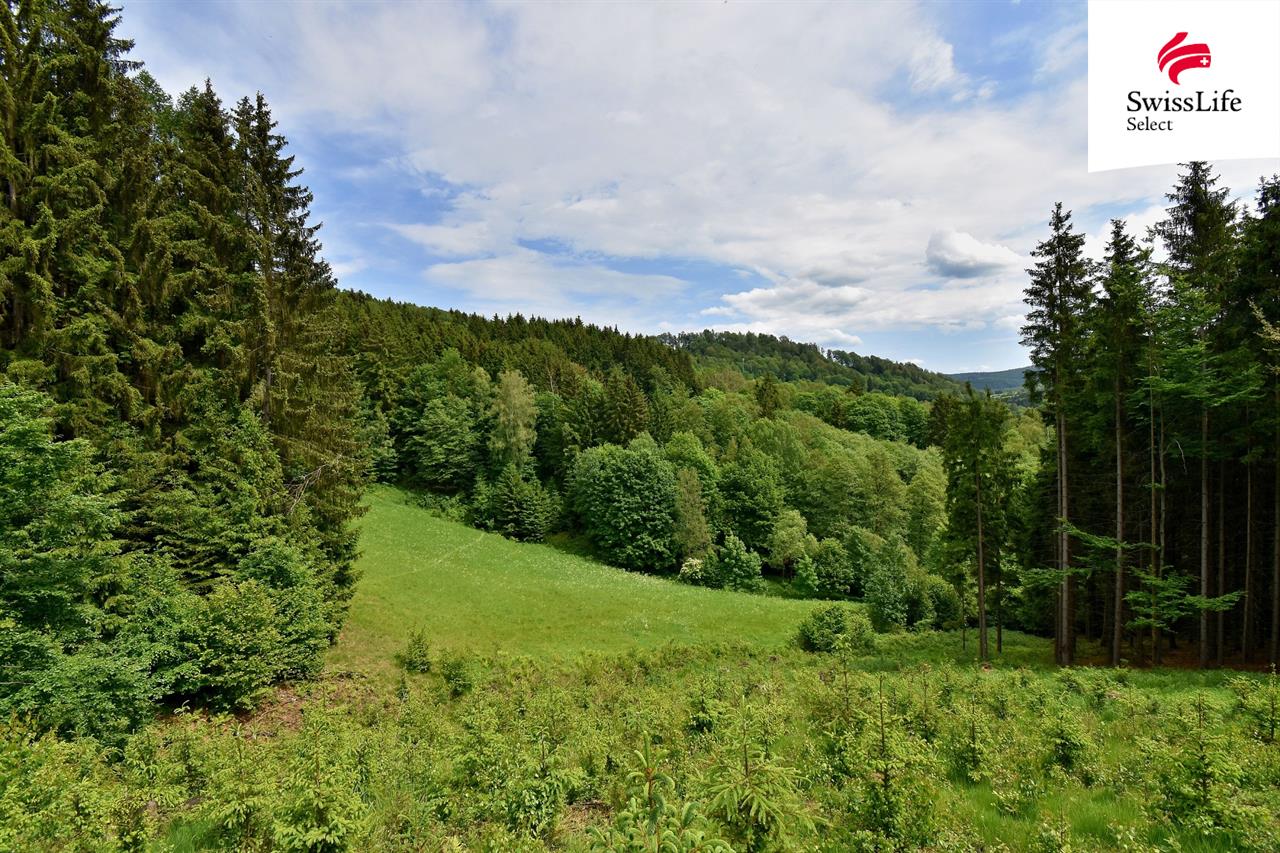 Prodej zemědělské usedlosti 600 m2, Chvaleč