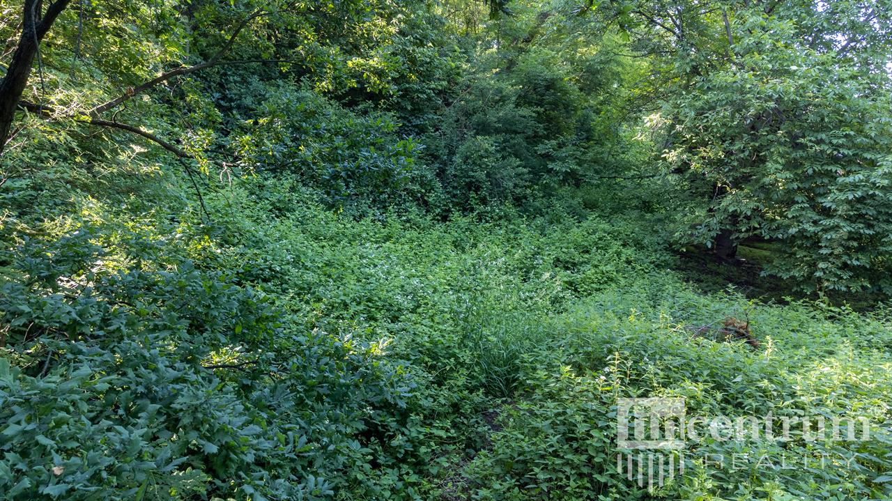 Prodej stavebního pozemku 4996 m2, Hranice