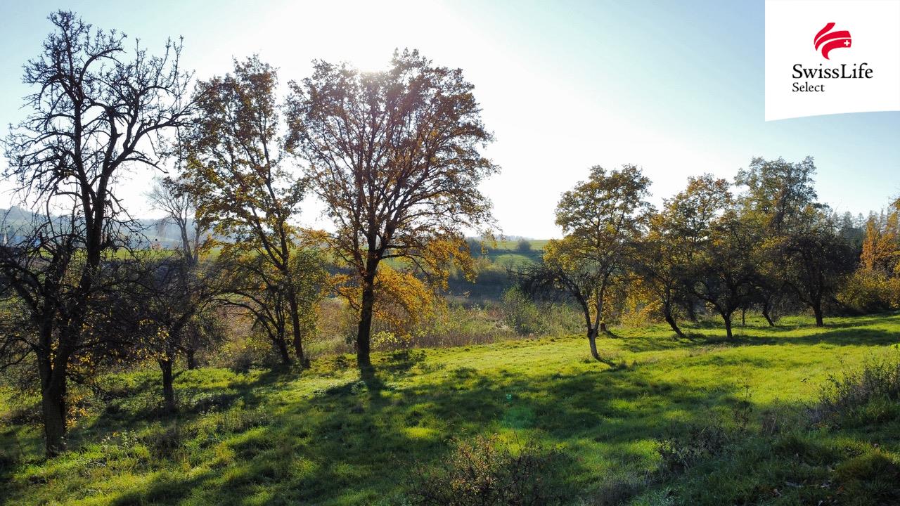 Prodej stavebního pozemku 1442 m2, Struhařov