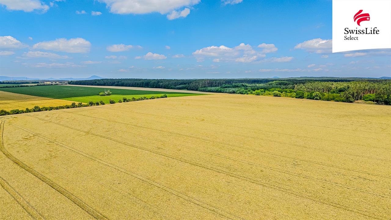 Prodej stavebního pozemku 997 m2 Třešňovka, Liběchov