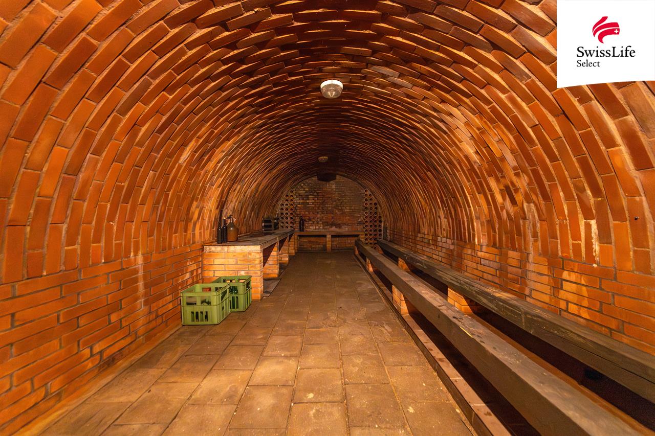 Prodej rodinného domu 194 m2 Vinohradní, Šakvice