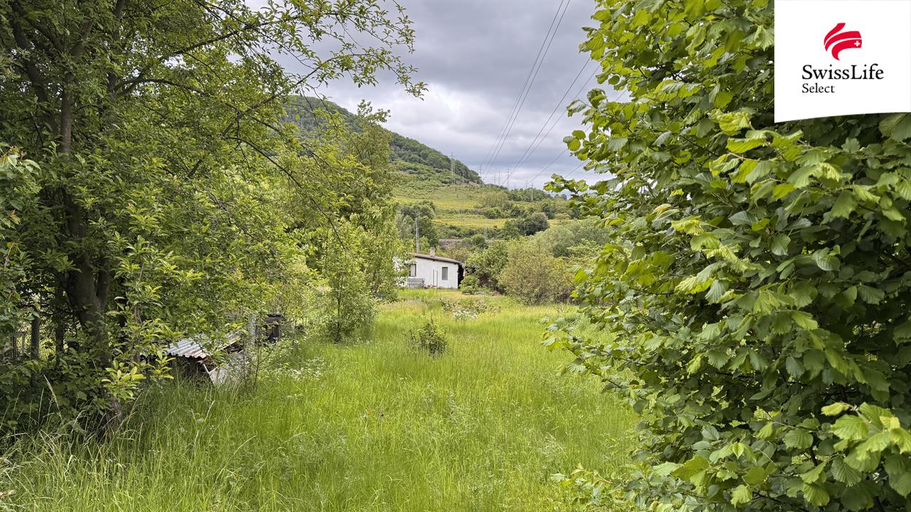 Prodej zahrady 1231 m2, Řehlovice