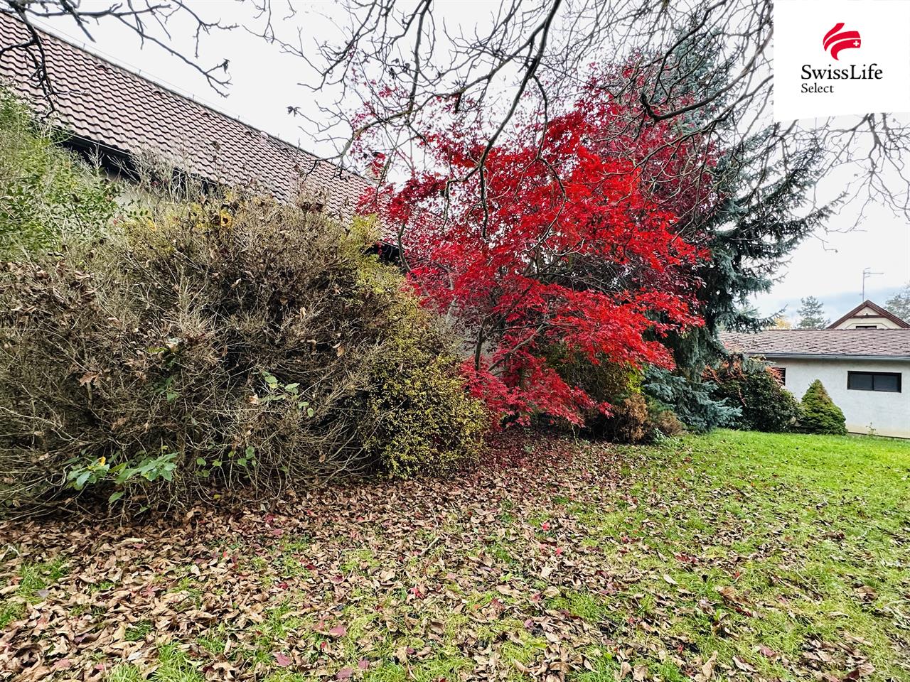 Pronájem bytu 1+1 39 m2 Čtyřkolská, Praha