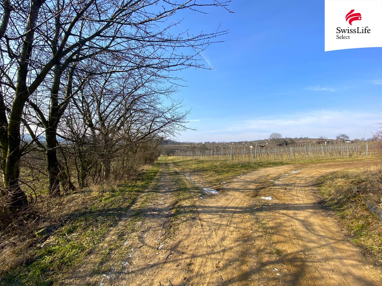 Prodej sadu, vinice 1748 m2, Bzenec