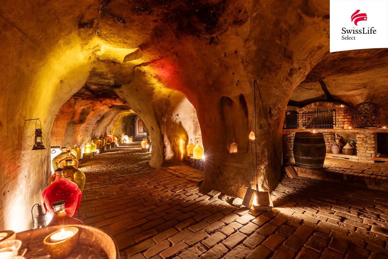 Prodej ubytovacího zařízení 176 m2 Na Staré cestě, Nový Šaldorf-Sedlešovice