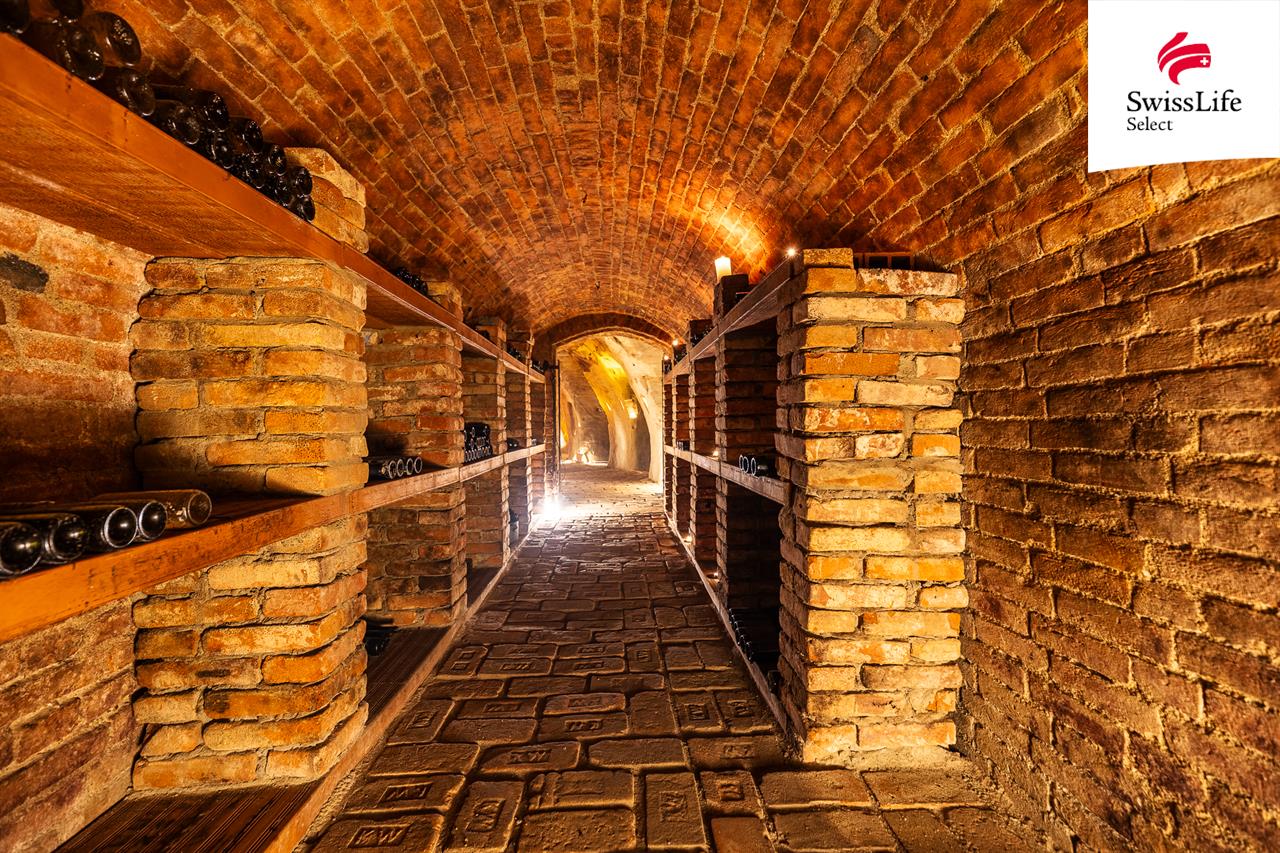 Prodej ubytovacího zařízení 176 m2 Na Staré cestě, Nový Šaldorf-Sedlešovice