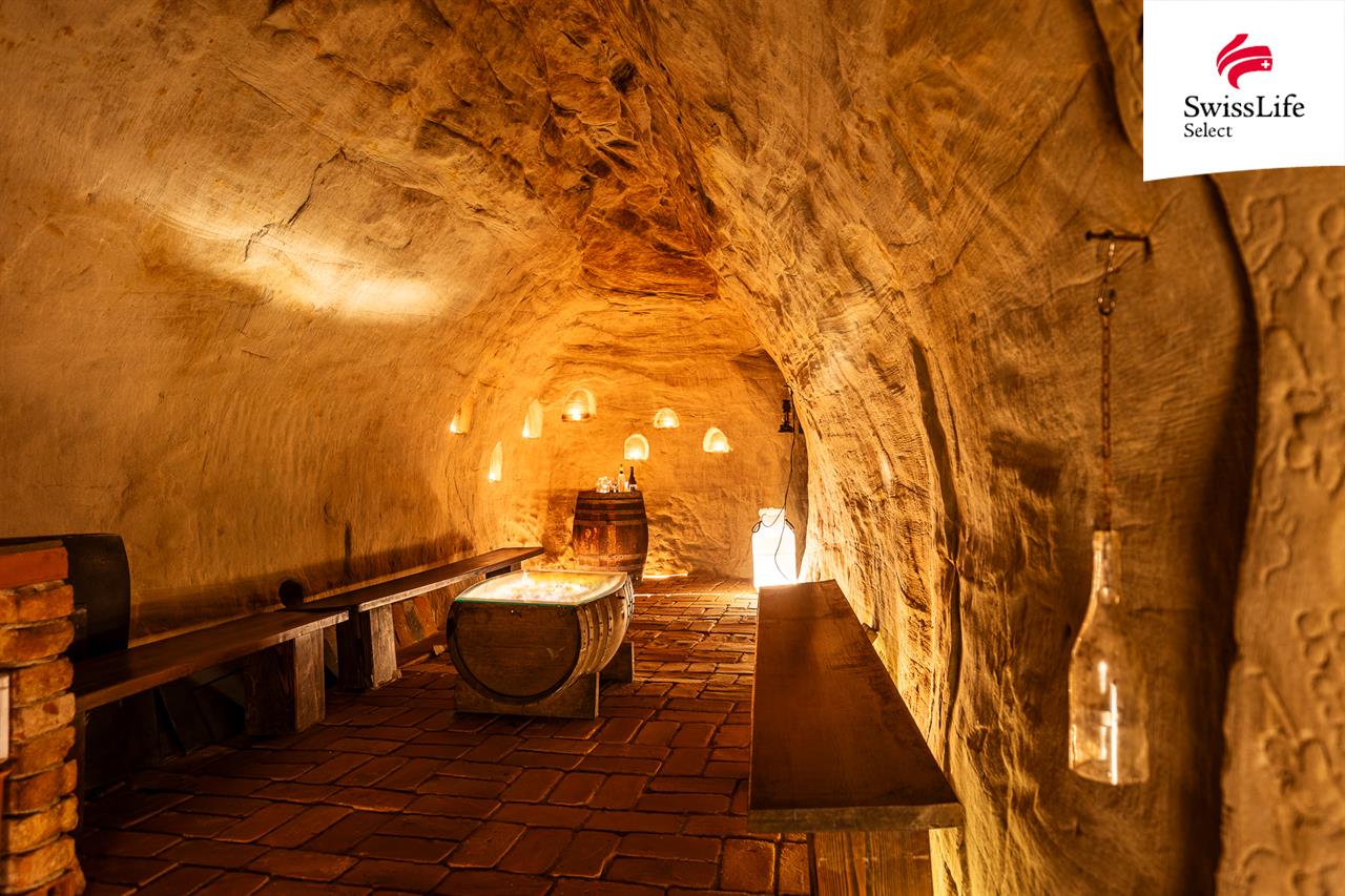 Prodej ubytovacího zařízení 176 m2 Na Staré cestě, Nový Šaldorf-Sedlešovice