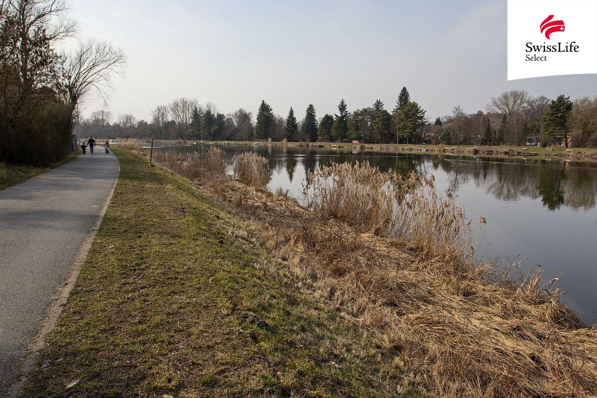 Prodej pozemku 4264 m2 Přístavní, Čelákovice