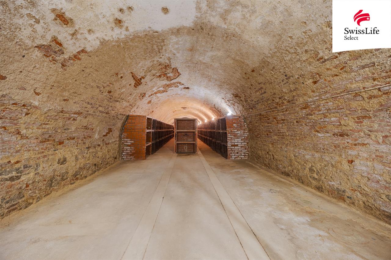 Prodej obchodního prostoru 3106 m2, Jiřice u Miroslavi