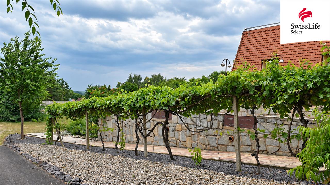 Prodej rodinného domu 662 m2, Jiřice u Miroslavi