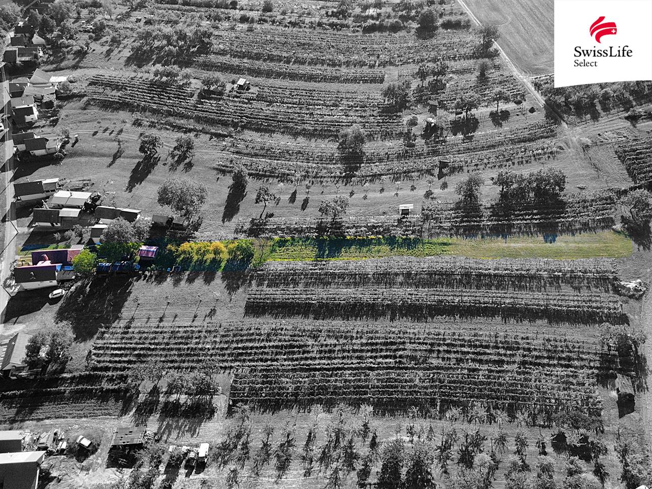 Prodej vinného sklepa 132 m2, Vlkoš