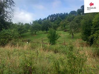 Prodej rodinného domu 120 m2 Kamenec, Brumov-Bylnice