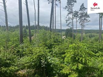Prodej lesa 10412 m2, Řídelov
