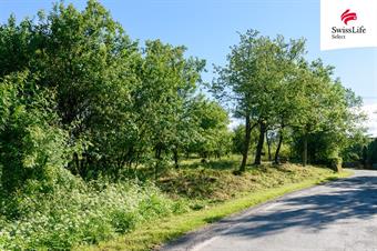 Prodej zahrady 1690 m2, Slezské Rudoltice