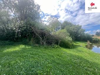 Prodej louky 360 m2, Hodice