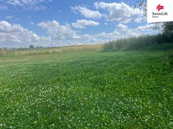 Prodej louky 360 m2, Hodice