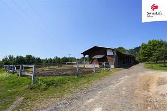 Prodej komerčního pozemku 225295 m2, Třebušín