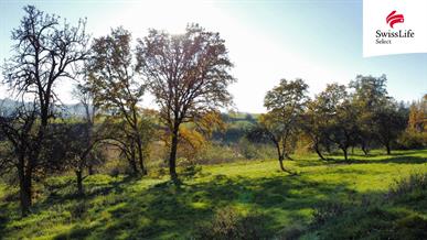 Prodej stavebního pozemku 1442 m2, Struhařov