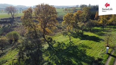 Prodej stavebního pozemku 1442 m2, Struhařov