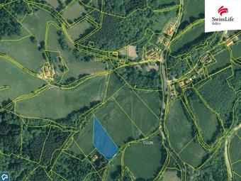 Prodej louky 5616 m2, Brloh