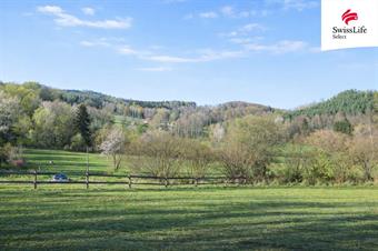 Prodej louky 5616 m2, Brloh