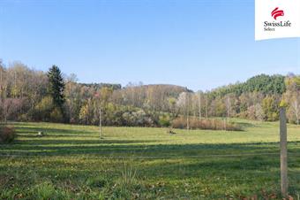 Prodej louky 5616 m2, Brloh