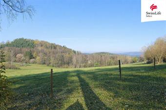 Prodej louky 5616 m2, Brloh