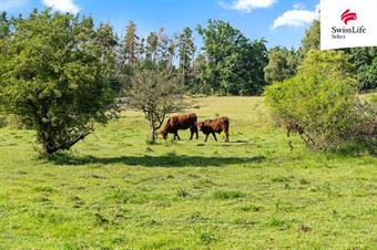 Prodej louky 294722 m2, Vrchotovy Janovice