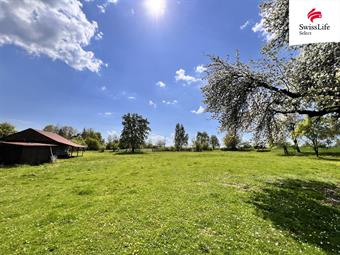 Prodej stavebního pozemku 3735 m2, Krsy