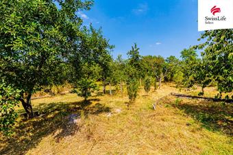 Prodej zahrady 1587 m2, Znojmo