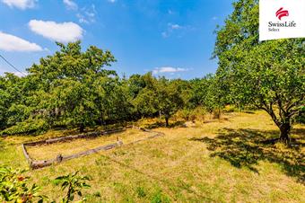 Prodej zahrady 1587 m2, Znojmo