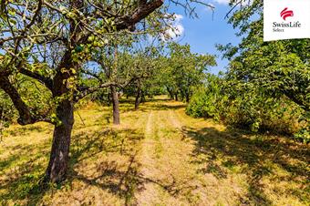 Prodej zahrady 1587 m2, Znojmo