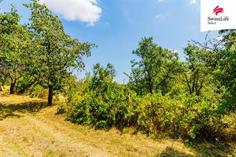 Prodej zahrady 1587 m2, Znojmo