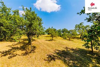 Prodej zahrady 1587 m2, Znojmo