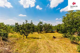 Prodej zahrady 1587 m2, Znojmo