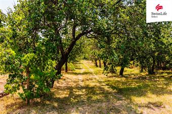 Prodej zahrady 1587 m2, Znojmo