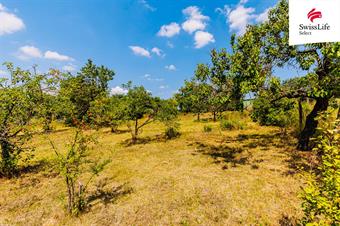 Prodej zahrady 1587 m2, Znojmo