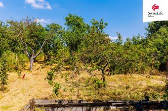 Prodej zahrady 1587 m2, Znojmo