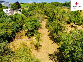 Prodej zahrady 1587 m2, Znojmo