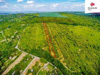 Prodej sadu, vinice 3876 m2, Židlochovice