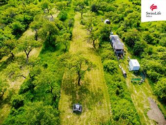 Prodej sadu, vinice 3876 m2, Židlochovice