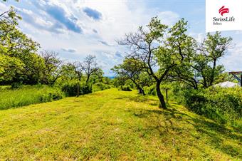 Prodej sadu, vinice 3876 m2, Židlochovice