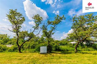 Prodej sadu, vinice 3876 m2, Židlochovice