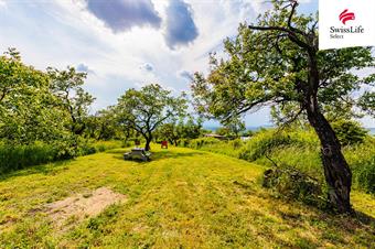 Prodej sadu, vinice 3876 m2, Židlochovice