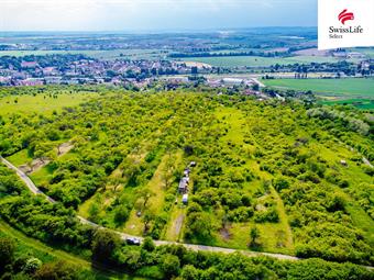 Prodej sadu, vinice 3876 m2, Židlochovice