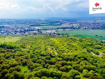 Prodej sadu, vinice 3876 m2, Židlochovice
