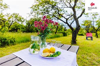 Prodej sadu, vinice 3876 m2, Židlochovice