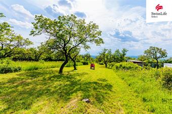 Prodej sadu, vinice 3876 m2, Židlochovice