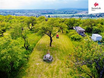 Prodej sadu, vinice 3876 m2, Židlochovice